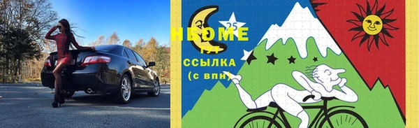 стаф Алзамай