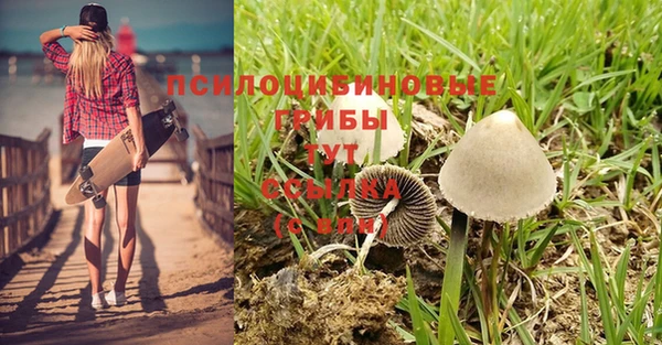 марки lsd Алексин